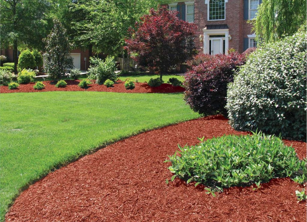 The Role of Mulch in Reducing Water Usage in Your Garden