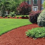 The Role of Mulch in Reducing Water Usage in Your Garden