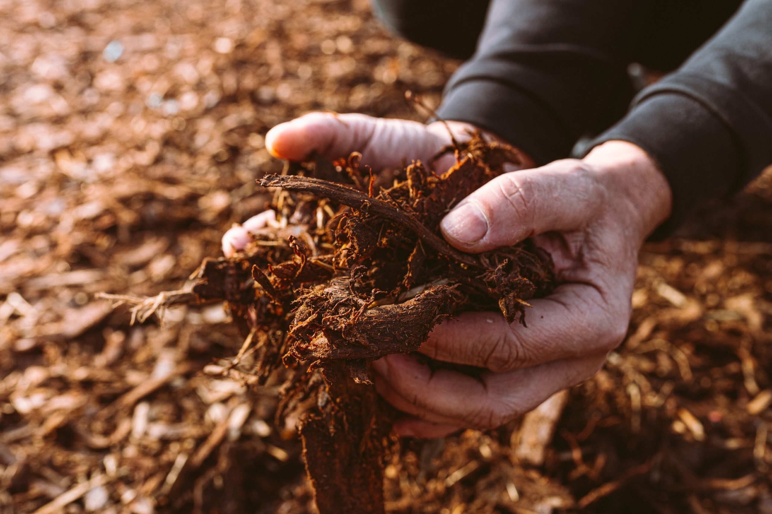 order your mulch delivery in cincinnati today