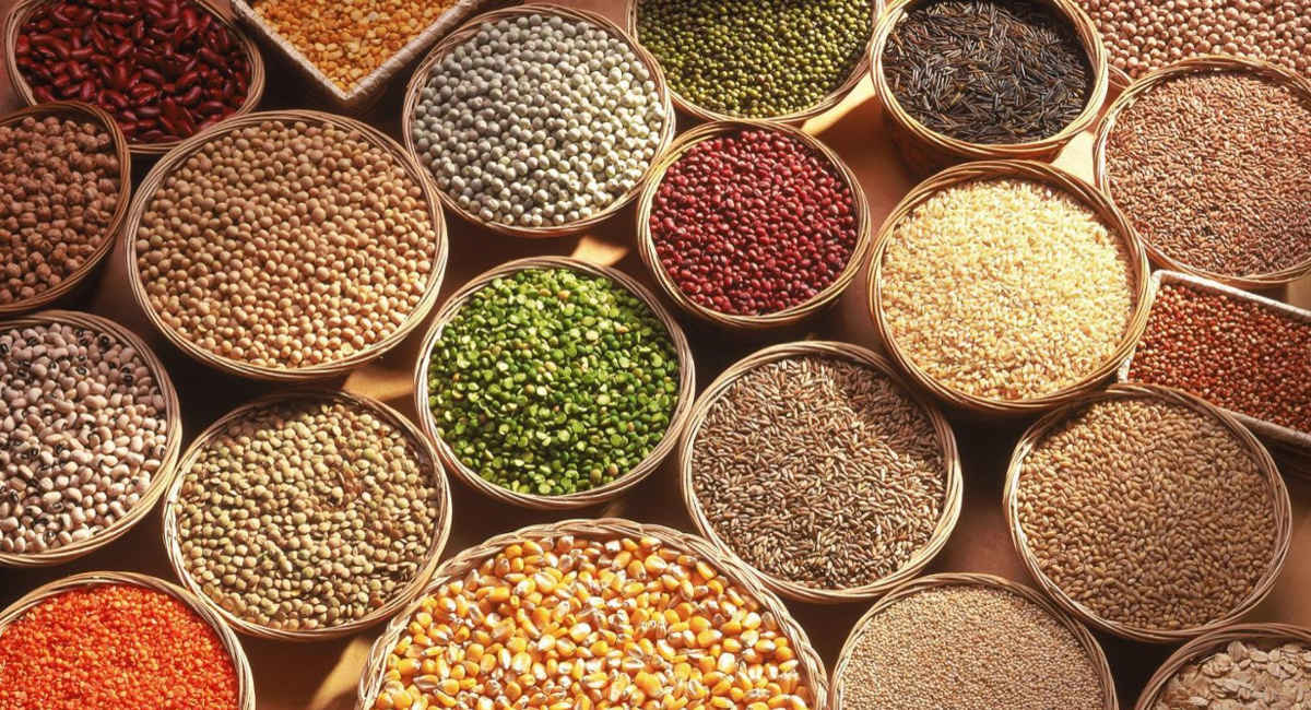 native seed company