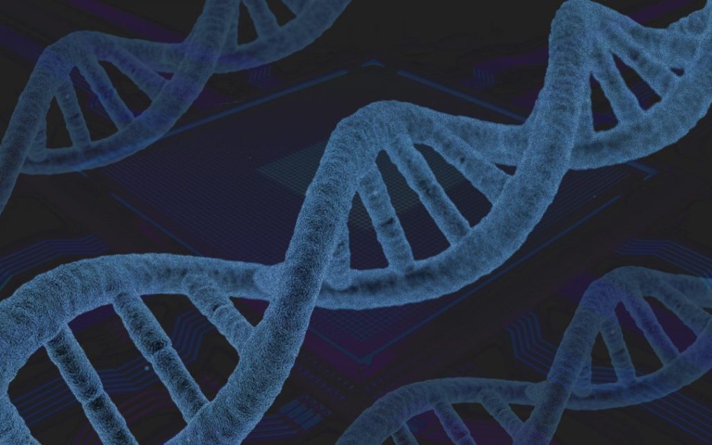 Career Opportunities from Regenerative Medicine Advanced Degrees